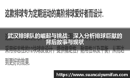 武汉排球队的崛起与挑战：深入分析排球巨献的背后故事与现状