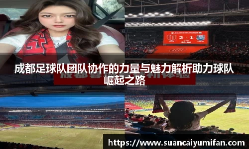成都足球队团队协作的力量与魅力解析助力球队崛起之路