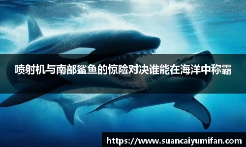 喷射机与南部鲨鱼的惊险对决谁能在海洋中称霸